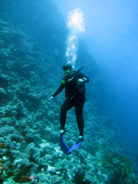 Photo: Descending scuba diver by Alex M.