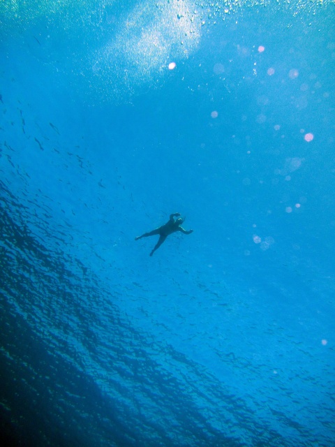 Photo: Snorkeler from below by Alex M.